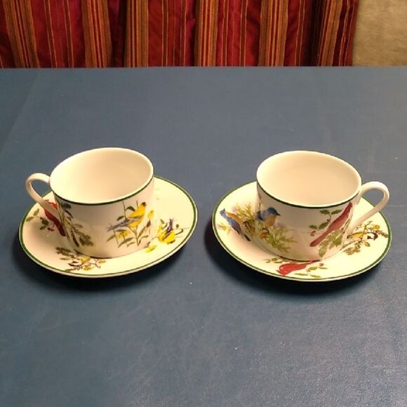 National Wildlife Federation Floral Bird Design Tea Cup and Saucer Set - Picture 1 of 7